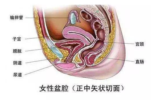 <a href='/penqiangyan/' target='_blank'><u>ǻ</u></a>Ĳ