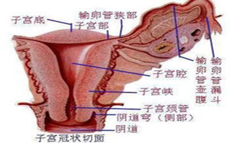 <a href='/fujianyan/' target='_blank'><u></u></a>