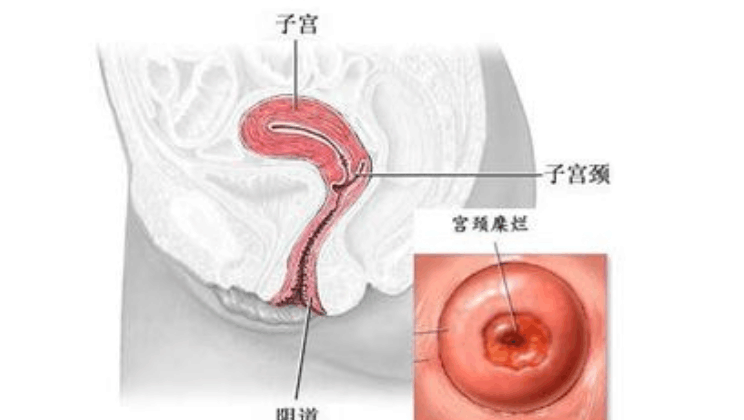 <a href='/gongjingfeida/' target='_blank'><u>ʴ</u></a>ԭ