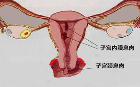 <a href='/gongjingxirou/' target='_blank'><u>Ϣ</u></a>