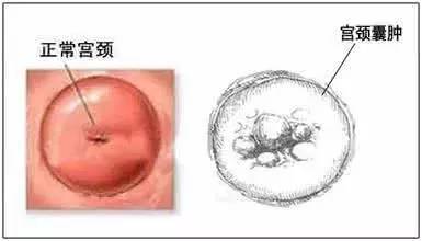 <a href='/gongjingnanzhong/' target='_blank'><u></u></a>