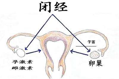 <a href='/bijing/' target='_blank'><u>վ</u></a>