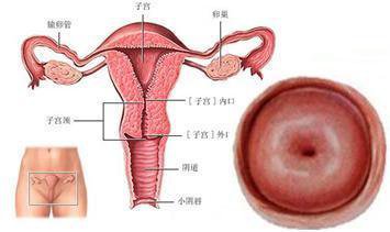 <a href='/gongjingyan/' target='_blank'><u></u></a>