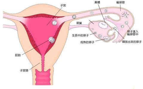 <a href='/shuluanguanfutong/' target='_blank'><u>ѹܸͨ</u></a>
