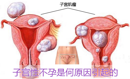 <a href='/zigongxingbuyun/' target='_blank'><u>ӹԲ</u></a>Ԥ