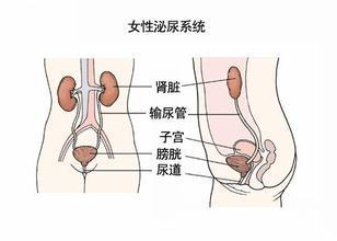 Ů<a href='/niaodaoyan/' target='_blank'><u></u></a>