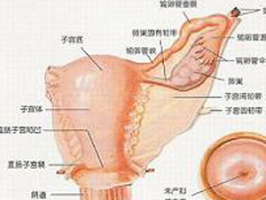<a href='/fujianyan/' target='_blank'><u></u></a>