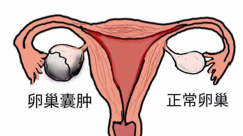 <a href='/luanchaonanzhong/' target='_blank'><u>ѳ</u></a>Σ