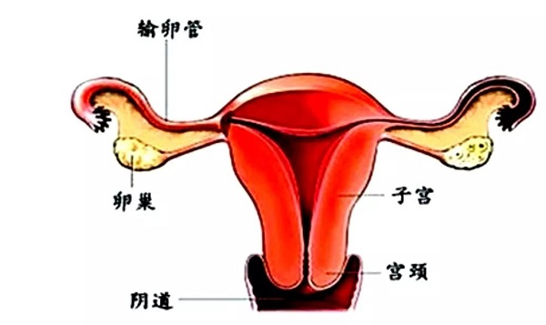 <a href='/luanchaoxingbuyun/' target='_blank'><u>ѳԲ</u></a>