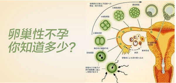 <a href='/luanchaoxingbuyun/' target='_blank'><u>ѳԲ</u></a>