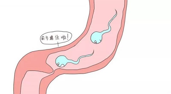 <a href='/shuluanguanfutong/' target='_blank'><u>ѹܸͨ</u></a>