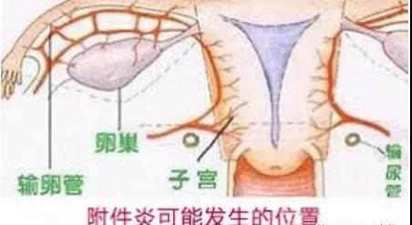 <a href='/fujianyan/' target='_blank'><u></u></a>