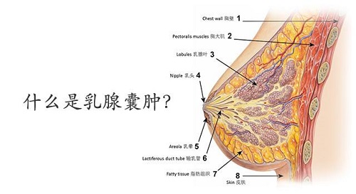 <a href='/ruxiannanzhong/' target='_blank'><u></u></a>