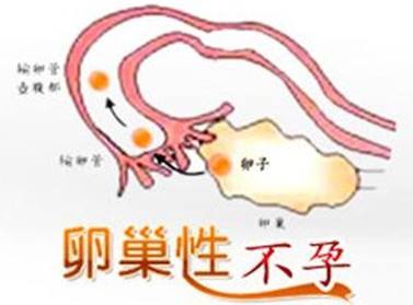 <a href='/luanchaoxingbuyun/' target='_blank'><u>ѳԲ</u></a>