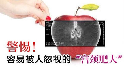 <a href='/gongjingfeida/' target='_blank'><u>ʴ</u></a>