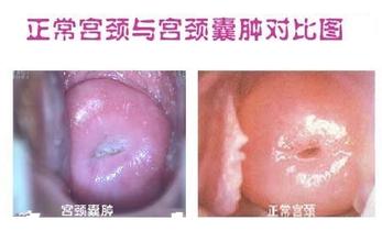 <a href='/gongjingnanzhong/' target='_blank'><u></u></a>
