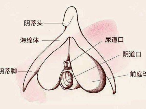 <a href='/yindizhengxing/' target='_blank'><u></u></a>