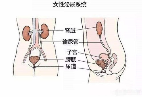 <a href='/niaodaoyan/' target='_blank'><u></u></a>