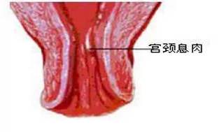 <a href='/gongjingxirou/' target='_blank'><u>Ϣ</u></a>