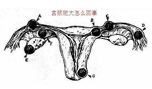 <a href='/gongjingfeida/' target='_blank'><u>ʴ</u></a>