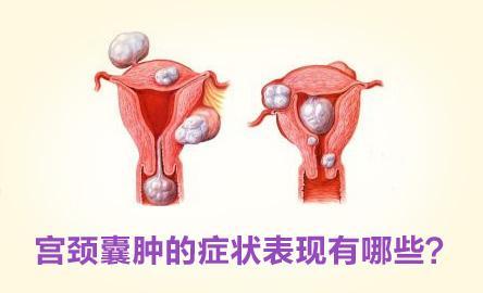 <a href='/gongjingnanzhong/' target='_blank'><u></u></a>