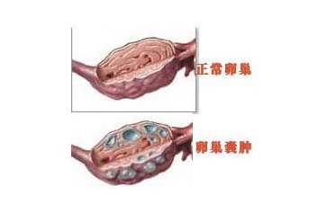 <a href='/luanchaonanzhong/' target='_blank'><u>ѳ</u></a>