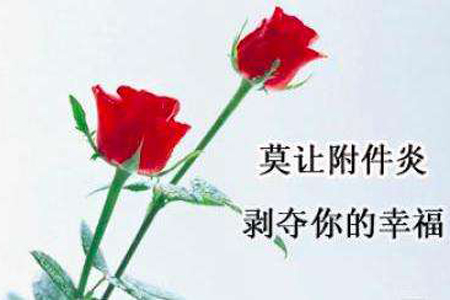 <a href='/fujianyan/' target='_blank'><u></u></a>