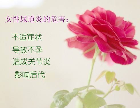 Ů<a href='/niaodaoyan/' target='_blank'><u></u></a>