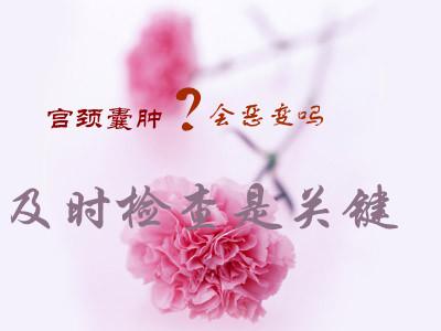 <a href='/gongjingnanzhong/' target='_blank'><u></u></a>
