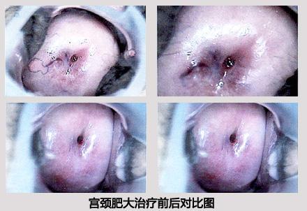 <a href='/gongjingfeida/' target='_blank'><u>ʴ</u></a>ԭ