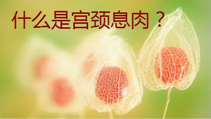 <a href='/gongjingxirou/' target='_blank'><u>Ϣ</u></a>