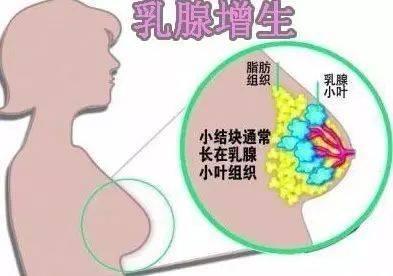 <a href='/ruxianzengsheng/' target='_blank'><u></u></a>