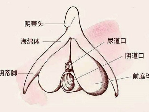 <a href='/yindizhengxing/' target='_blank'><u></u></a>