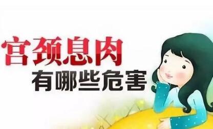 <a href='/gongjingxirou/' target='_blank'><u>Ϣ</u></a>Σ